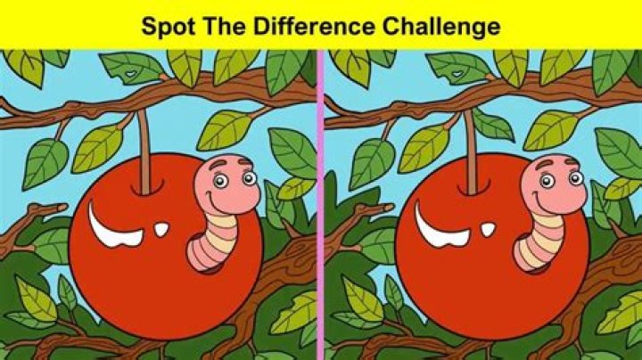 Brain Challenge: Only Smart People Can Spot The 5 Differences in These Two Images...