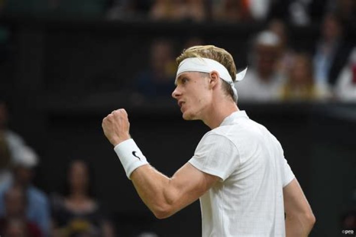 Denis Shapovalov Net Worth: Details About Tennis, Career, Gf, Age, Income - SarkariResult