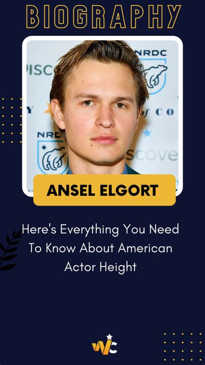 How Tall Is Ansel Elgort Considered As Compared To The Other Six Famous Actors?