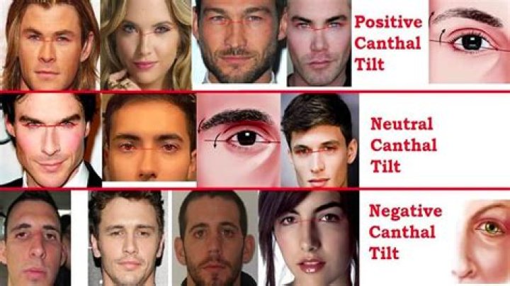 How to Use Canthal Tilt? - SarkariResult