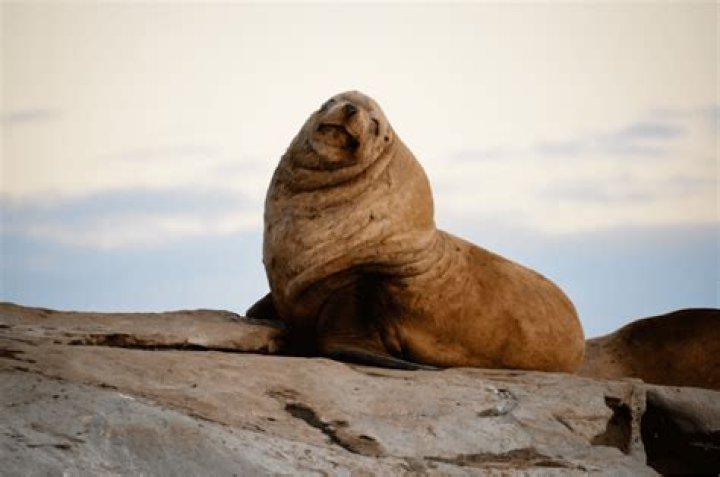 Lee Minho's True Height Revealed: Separating Fact from Fiction - SarkariResult