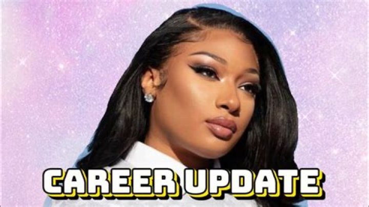Megan Thee Stallion Career Insight Megan Thee Stallion Career Insight