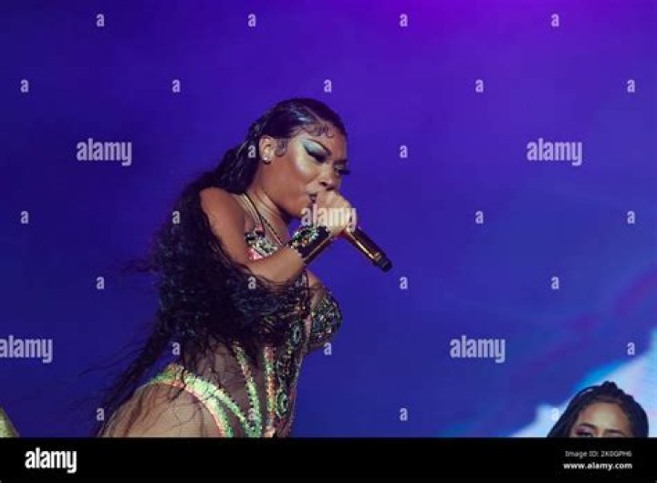 Megan Thee Stallion Singer and Rapper Megan Thee Stallion Singer and Rapper