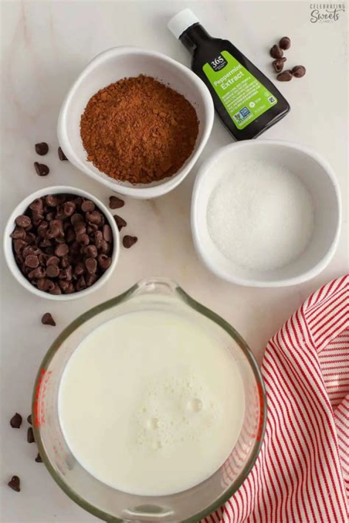 Milk, cocoa, chocolate chips, peppermint extract, and sugar next to a red and white striped napkin.