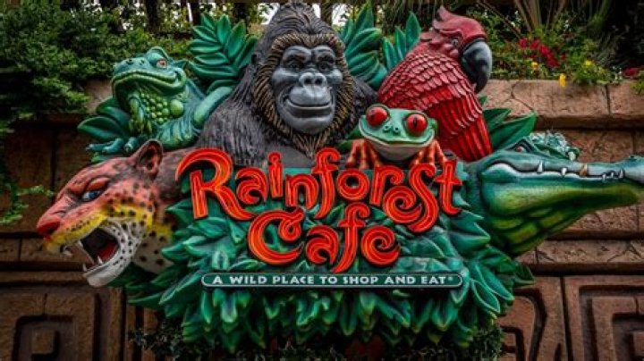 Rainforest Cafe Menu and Prices - SarkariResult