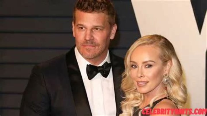 Real Reason of David Boreanaz Divorcing Wife Ingrid Quinn