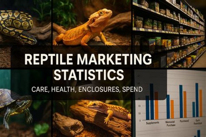 Reptile Channel video statistics